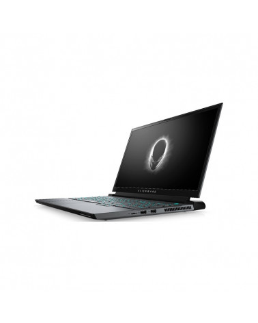 Dell Laptop Alienware 17.3'' FHD /i7-10870H/32GB/2x 1TB SSD/GeForce RTX 3080 16GB/Win 10 Pro/ by Doctor Print