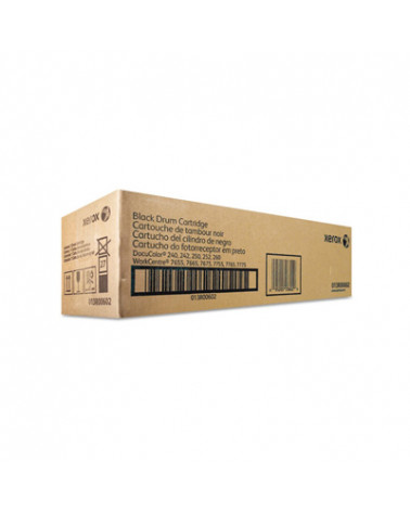 XEROX DC 240/250,  7655/7665/7675 DRUM BLK (013R00602) (XER013R00602)