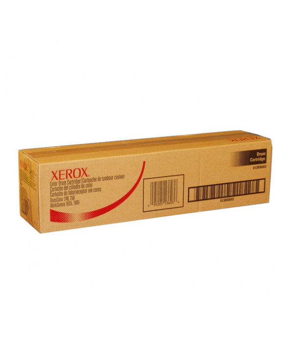XEROX DC 240/250,  7655/7665/7675 DRUM CLR (013R00603) (XER013R00603)
