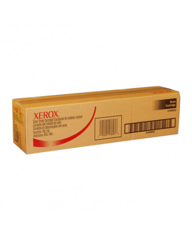 XEROX DC 240/250,  7655/7665/7675 DRUM CLR (013R00603) (XER013R00603)
