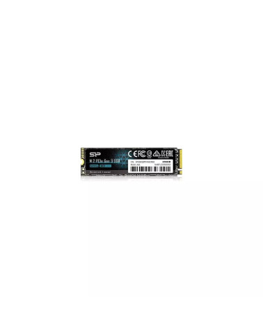 SSD 256GB M2 2280 SP NVMe 1.3 NEW