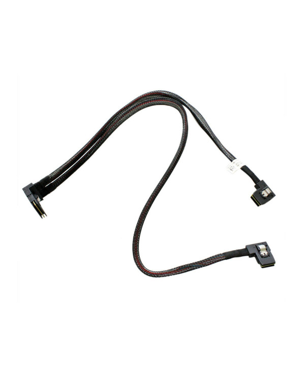 DELL R620/R720 WIDE SAS TO DUAL MINI A&B SAS CABLE