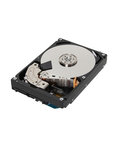 HDD SAS 10TB HGST 7.2K 12GB 4Kn 3.5"